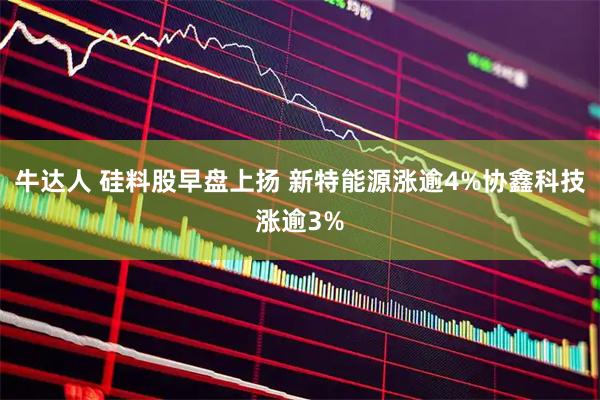 牛达人 硅料股早盘上扬 新特能源涨逾4%协鑫科技涨逾3%
