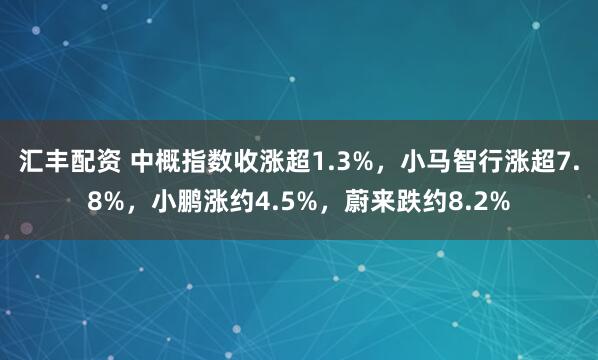 汇丰配资 中概指数收涨超1.3%，小马智行涨超7.8%，小鹏涨约4.5%，蔚来跌约8.2%