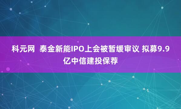科元网  泰金新能IPO上会被暂缓审议 拟募9.9亿中信建投保荐