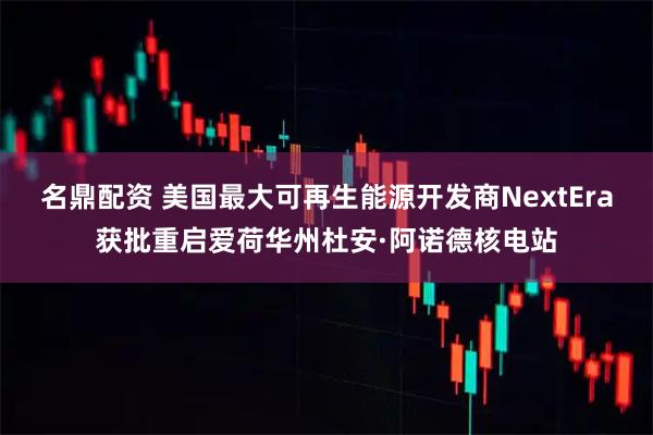 名鼎配资 美国最大可再生能源开发商NextEra获批重启爱荷华州杜安·阿诺德核电站