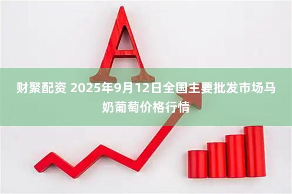 财聚配资 2025年9月12日全国主要批发市场马奶葡萄价格行情
