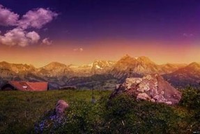 淑怡糖心在线观看：甜蜜爱情故事，让你心动不已！