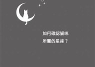 糖心占星猫：探索星座背后的秘密与猫咪的神奇世界