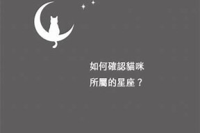 糖心占星猫：探索星座背后的秘密与猫咪的神奇世界
