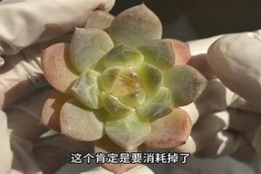 糖心广播剧第四集完整版在线收听，精彩剧情不容错过！