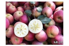 糖心iOS在线：畅享美味甜点与便捷服务