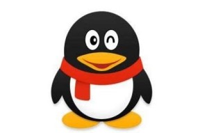 糖心官网在线登录入口 | 实时获取最新动态与服务