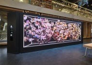糖心Vlog视频合集：带你探索生活中的甜蜜时刻