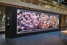糖心Vlog视频合集：带你探索生活中的甜蜜时刻