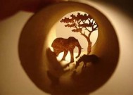 甜美糖心解说视频：趣味解说带你领略新奇世界