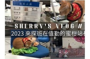 探索多己糖的魅力：我的Vlog记录与分享