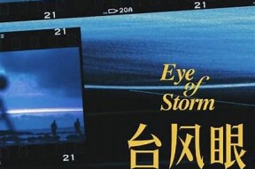 酒心糖在线阅读：精彩潭石故事等你来发现