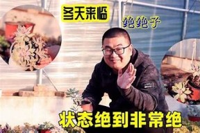 绝配酥心糖高清免费在线观看 - 享受甜蜜感动的爱情故事