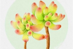 多乙糖心在线观看：最新剧情、角色介绍及观看链接汇总