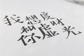 成人糖心：探秘温暖岁月与甜蜜回忆的Vlog