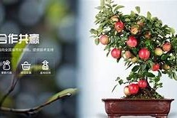 日本糖心龙小说在线免费观看，精彩剧情不容错过