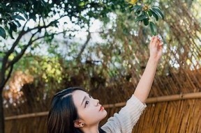 糖心追捧：甜蜜爱情与成长的小说在线阅读