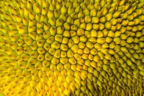 糖心唐伯虎Vlog精彩回顾：带你体验不一样的唐伯虎生活