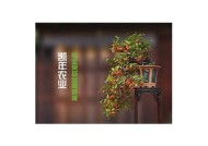 糖心官网免费在线观看：最新国产剧热播，精彩纷呈不容错过