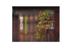 糖心官网免费在线观看：最新国产剧热播，精彩纷呈不容错过
