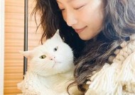 糖心视频分享：精彩内容与创意无限，快来观看吧！