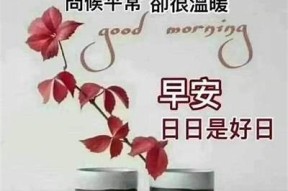 分享多己糖心的日常生活与Vlog精彩瞬间，让你感受甜蜜生活！