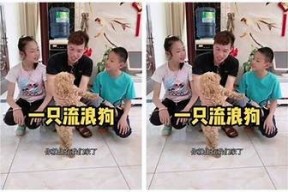 糖心宝贝在线阅读：畅享甜蜜故事，陪伴成长每一步