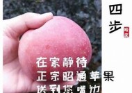 国产糖心苹果种植指南：如何选择与培育优质苹果