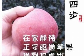 国产糖心苹果种植指南：如何选择与培育优质苹果
