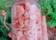 柚子猫糖心：优质在线美食，带给您甜蜜享受