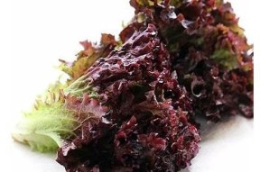 糖心91在线：探索甜蜜生活的每一个瞬间