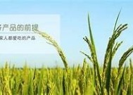 高三生活实录：我的糖心视频Vlog记录成长与奋斗点滴