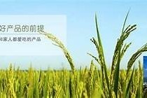 高三生活实录：我的糖心视频Vlog记录成长与奋斗点滴