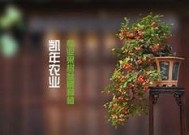 糖心在线Vlog：分享生活点滴与有趣故事的精彩视频