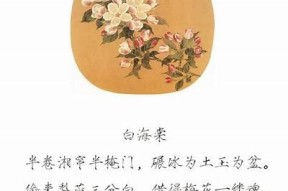 情书糖心：绽放在指尖的爱恋故事免费在线阅读