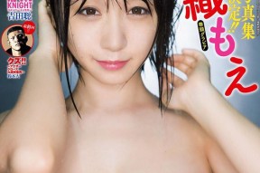 国产糖心苹果的主要产地及其特色介绍