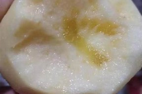 彻底解析国产糖心苹果品种及其特点与种植指南