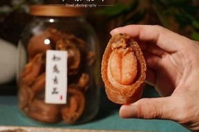 糖心鲍鱼的秘密在线观看：探索鲜美鲍鱼的独有魅力与做法