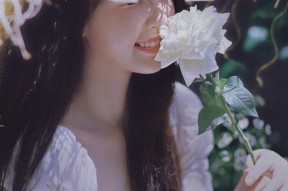 优雅淑女糖心淑怡小视频合集，尽享甜美生活片段