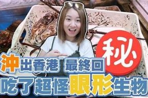 探寻日本隐秘天堂：糖心Vlog带你畅游美丽景点