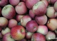 国产糖心苹果礼盒品质评测：送礼自用的优秀选择吗？