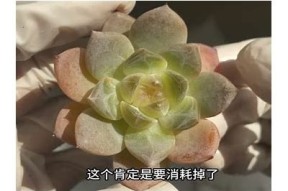 糖心小说免费在线阅读完整版，精彩纷呈等你来探索