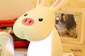 糖心柚子猫趣味Vlog：探索可爱宠物的日常与成长