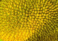 糖心巧克力泰剧在线观看：高清全集免费观看与剧情介绍