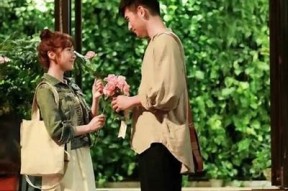 国产糖心多乙在线观看：甜蜜爱情与青春成长的碰撞