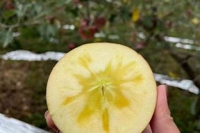 国产糖心苹果是什么品牌？揭秘糖心苹果的来源与特点