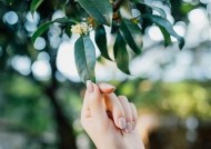 绝配酥心糖：甜蜜爱情与成长的国产剧全解析
