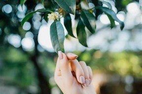 糖心甜豆：甜蜜爱情与成长故事在线阅读