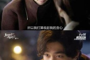 糖心偷心：一场甜蜜的爱情冒险小说在线全文阅读