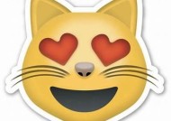 猫宝宝糖心：可爱猫咪的日常生活与成长故事
